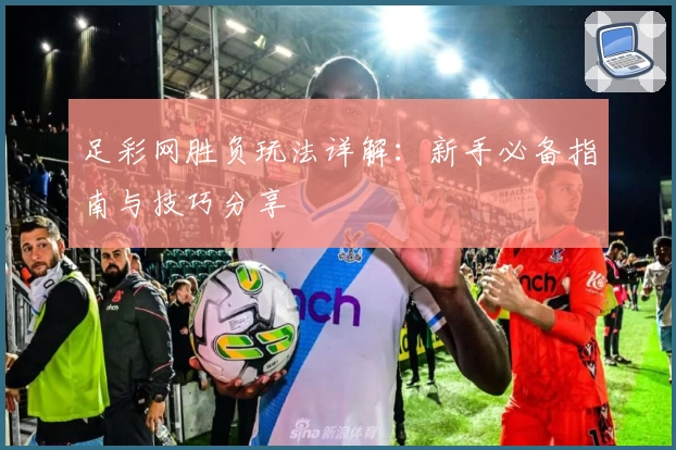 足彩网胜负玩法详解：新手必备指南与技巧分享