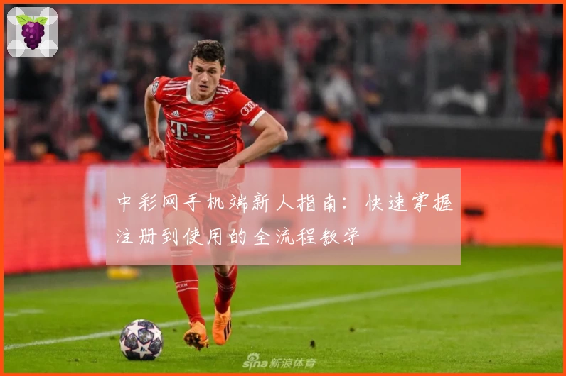 中彩网手机端新人指南：快速掌握注册到使用的全流程教学