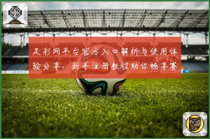 足彩网平台官方入口解析与使用体验分享，新手注册教程助你畅享赛事魅力