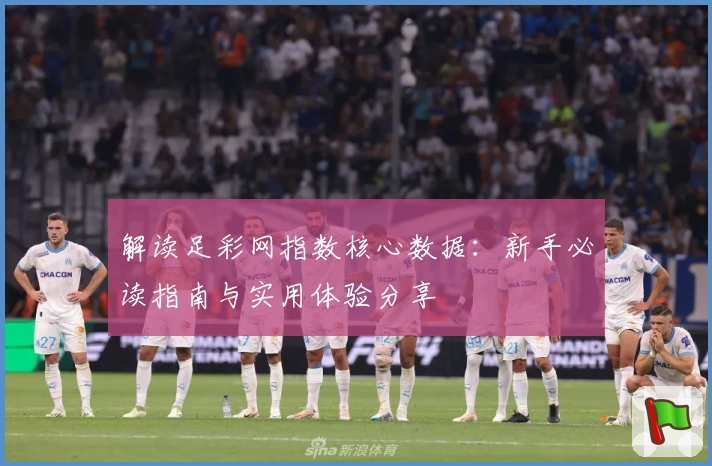 解读足彩网指数核心数据：新手必读指南与实用体验分享